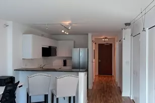 2 E Erie St, Chicago, IL 60611 - Photo 13