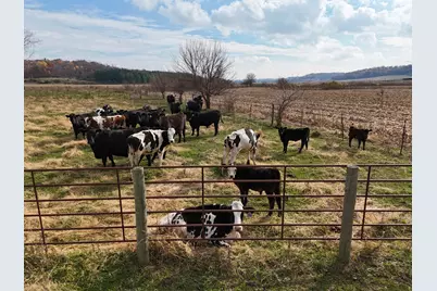 6977 S Elmoville Road, Stockton, IL 61085 - Photo 13