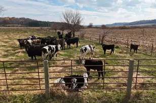 6977 S Elmoville Rd, Stockton, IL 61085 - Photo 13