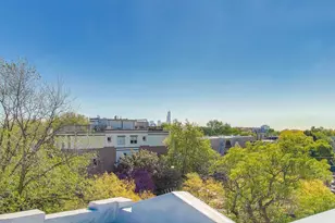 2910 W Palmer St, Chicago, IL 60647 - Photo 29