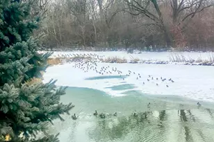 2249 Hudson Cir, Aurora, IL 60502 - Photo 27