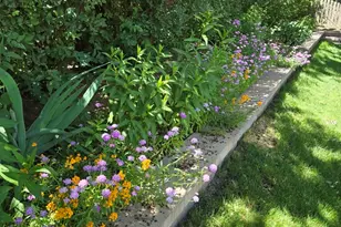 1259 Natchez Trace Cir, Naperville, IL 60540 - Photo 55