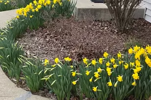 1259 Natchez Trace Cir, Naperville, IL 60540 - Photo 57