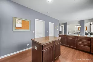 9743 Rainsford Dr, Huntley, IL 60142 - Photo 15