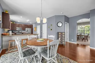 9743 Rainsford Dr, Huntley, IL 60142 - Photo 11