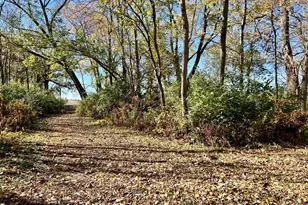 2175 Old Police Park Rd, Saint John, IL 61873 - Photo 21