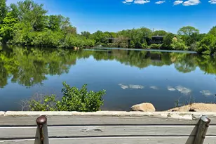 6008 Lake Dr E, Lisle, IL 60532 - Photo 21