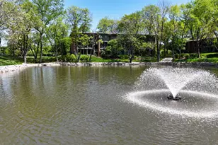 6008 Lake Dr E, Lisle, IL 60532 - Photo 23