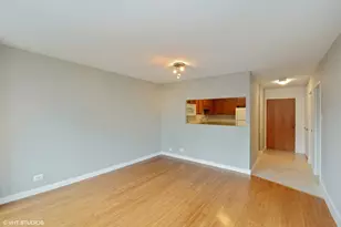 211 E Ohio St, Chicago, IL 60611 - Photo 5