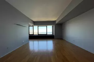 175 E Delaware Pl, Chicago, IL 60611 - Photo 5