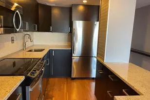 175 E Delaware Pl, Chicago, IL 60611 - Photo 9