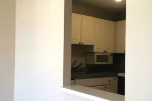 111 W Maple St, Chicago, IL 60610 - Photo 3