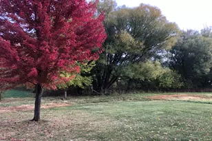 101 E Third St, Dewitt, IL 61735 - Photo 15