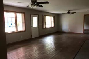 101 E Third St, Dewitt, IL 61735 - Photo 3