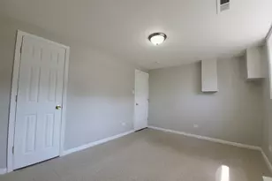 349 E Maple Dr, Glenwood, IL 60425 - Photo 17