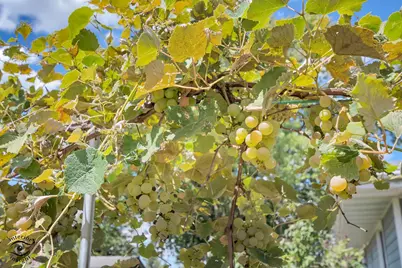 2434 N 7000W Road, Bonfield, IL 60913 - Photo 17