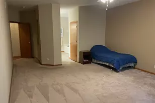 296 W Prairie Walk Ln, Round Lake, IL 60073 - Photo 21