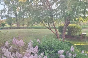 12255 Wildflower Ln, Huntley, IL 60142 - Photo 47