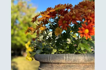 2906 Springhill Lane, Champaign, IL 61822 - Photo 39