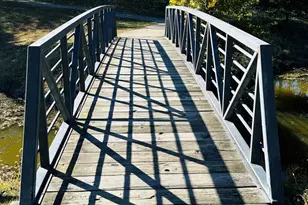 2906 Springhill Ln, Champaign, IL 61822 - Photo 43