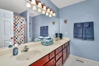 26305 W Ravine Woods Drive, Channahon, IL 60410 - Photo 27