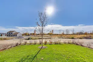 1003 Celebration Drive, Aurora, IL 60504 - Photo 31