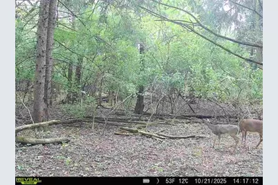 34531 S Lakeside Terrace, Wilmington, IL 60481 - Photo 45