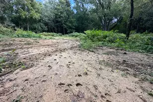 34531 S Lakeside Terrace, Wilmington, IL 60481 - Photo 43