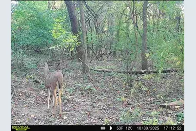 34531 S Lakeside Terrace, Wilmington, IL 60481 - Photo 47