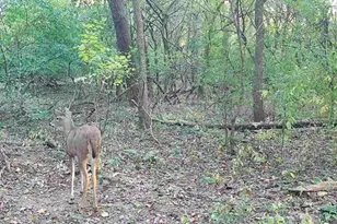 34531 S Lakeside Terrace, Wilmington, IL 60481 - Photo 47