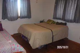407 E Pine St, Chatsworth, IL 60921 - Photo 23