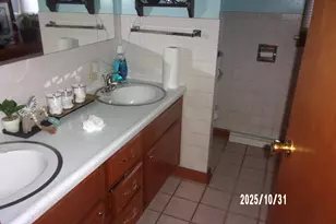 407 E Pine St, Chatsworth, IL 60921 - Photo 19