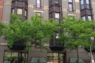 1004 N Clark St, Chicago, IL 60610 - Photo 1