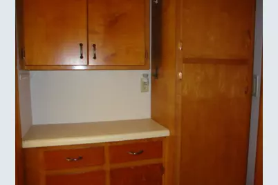 522 N Third Street, Cissna Park, IL 60924 - Photo 13