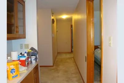 522 N Third Street, Cissna Park, IL 60924 - Photo 19