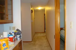 522 N 3rd St, Cissna Park, IL 60924 - Photo 19