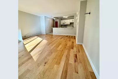 211 E Ohio Street #1215, Chicago, IL 60611 - Photo 5