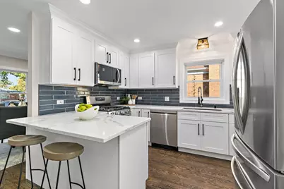 241 N Hamlin Avenue, Park Ridge, IL 60068 - Photo 13