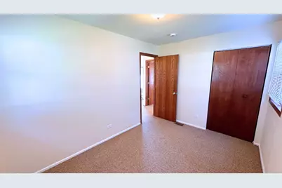 231 E Tulip Drive, Glenwood, IL 60425 - Photo 9