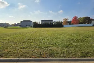 496 Shamrock Ln, Manteno, IL 60950 - Photo 1