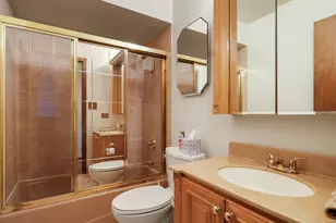 14864 S Cricketwood Dr, Homer Glen, IL 60491 - Photo 11