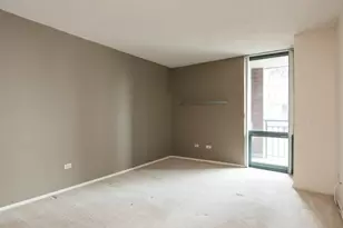 480 N McClurg Ct, Chicago, IL 60611 - Photo 9