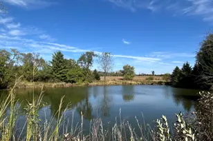 16104 McGuire Rd, Harvard, IL 60033 - Photo 9