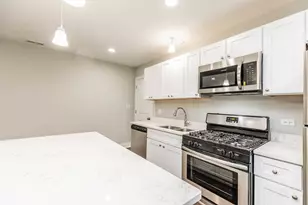 2109 W 18th Pl, Chicago, IL 60608 - Photo 47