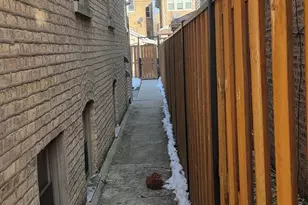 5134 W Henderson St, Chicago, IL 60641 - Photo 47