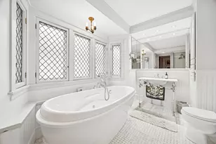 163 N Cuyler Ave, Oak Park, IL 60302 - Photo 19