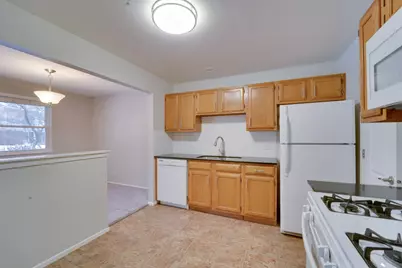 160 Stirling Lane #X1, Schaumburg, IL 60194 - Photo 11