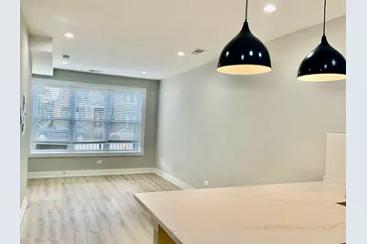 2238 W 24th Street #1F, Chicago, IL 60608 - Photo 7