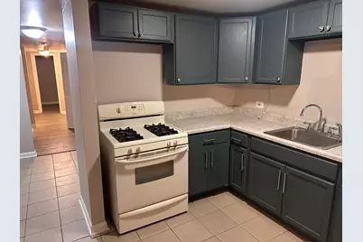1842 S Drake Avenue, Chicago, IL 60623 - Photo 23