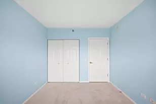 390 W Mahogany Ct, Palatine, IL 60067 - Photo 19